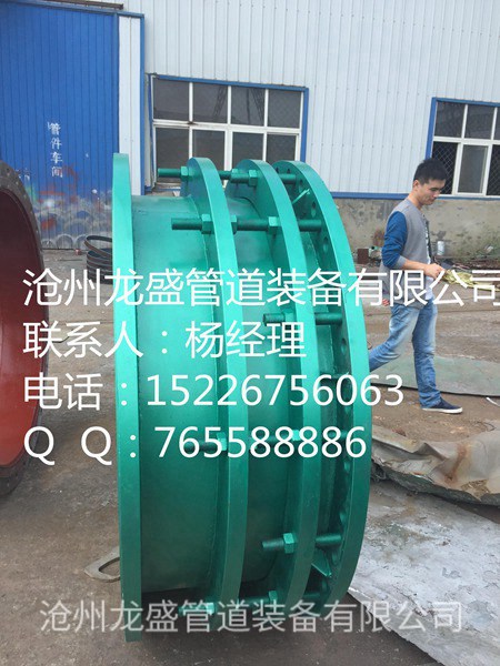 B2F(VSSJA-2)型双法兰限位伸缩器